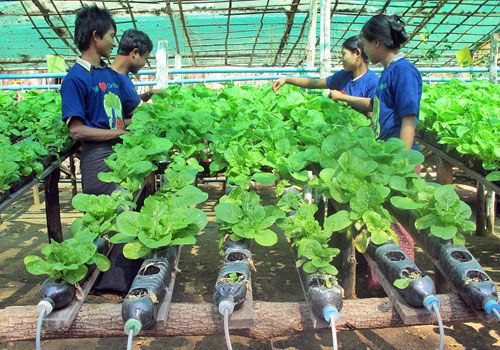 Farmer Training