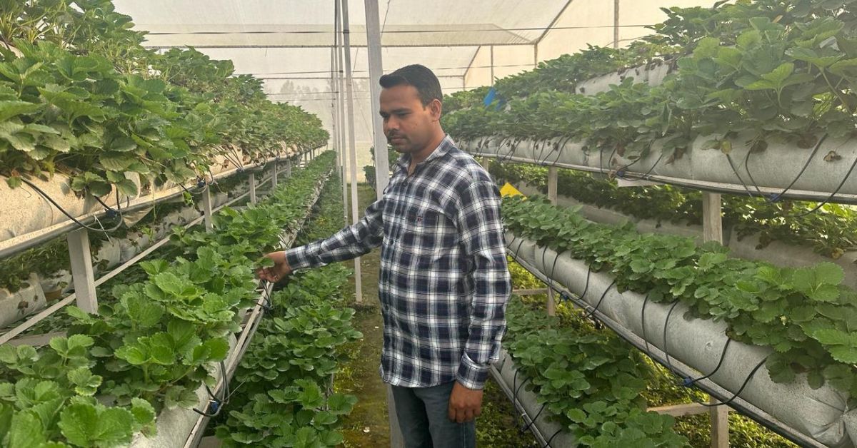 Farmer Story